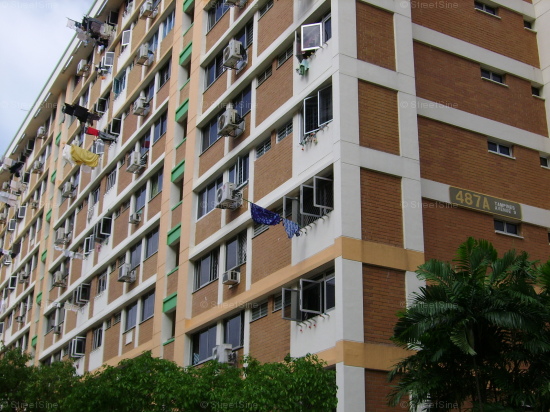 Blk 487A Tampines Avenue 9 (Tampines), HDB 4 Rooms #84252